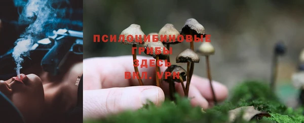 бутират Медвежьегорск