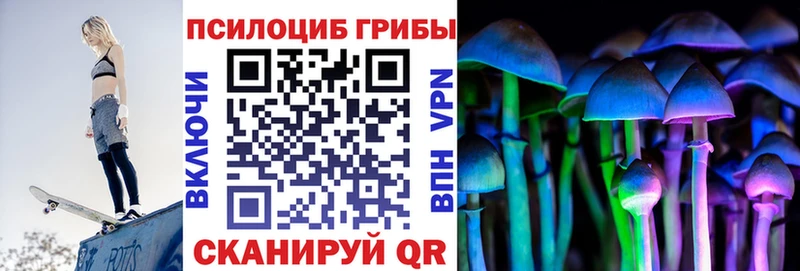 Купить  Качканар  Галлюциногенные грибы GOLDEN TEACHER 