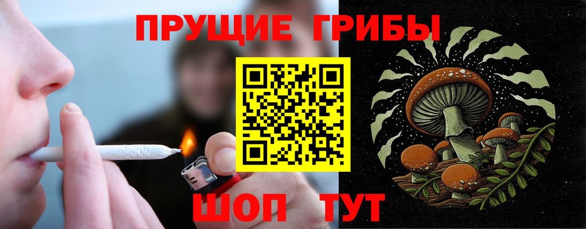 Галлюциногенные грибы мицелий Качканар